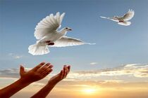 آزادی یک زندانی جرایم غیرعمد در اصفهان
