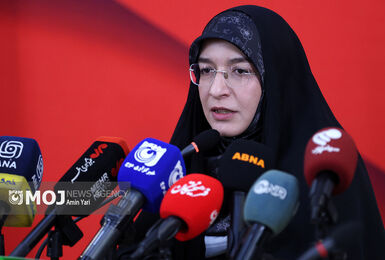 کیفیت مستندهای امسال جشنواره فیلم ۱۰۰ یک سر و گردن بالاتر بود