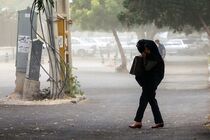 وزش باد و گردوخاک در تهران ادامه دارد