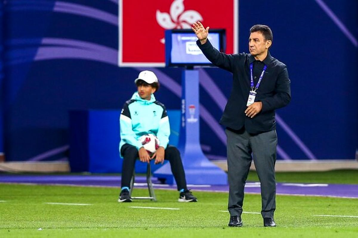 امیر قلعه نویی