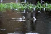 افزایش 30 درصدی بارش ها نسبت به میانگین بلند مدت در شهرضا