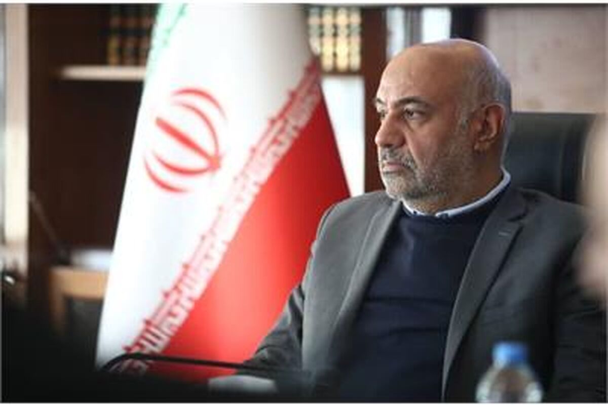 احمد میدری، وزیر تعاون
