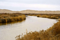 آب به تالاب بین‌المللی گاوخونی رسید