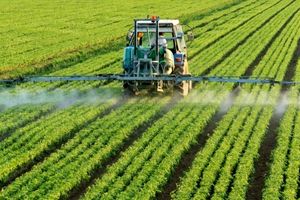 افتتاح ۵۲ طرح کشاورزی در کرمانشاه با سرمایه‌گذاری ۵۶۶ میلیارد تومان عملیاتی می‌شود