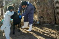 آمادگی اکیپ های واکنش سریع دامپزشکی در بشاگرد 