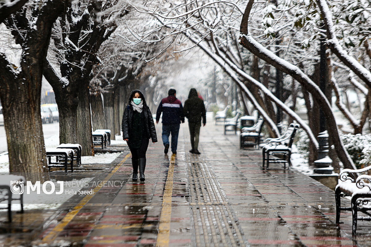 بارش برف در تهران