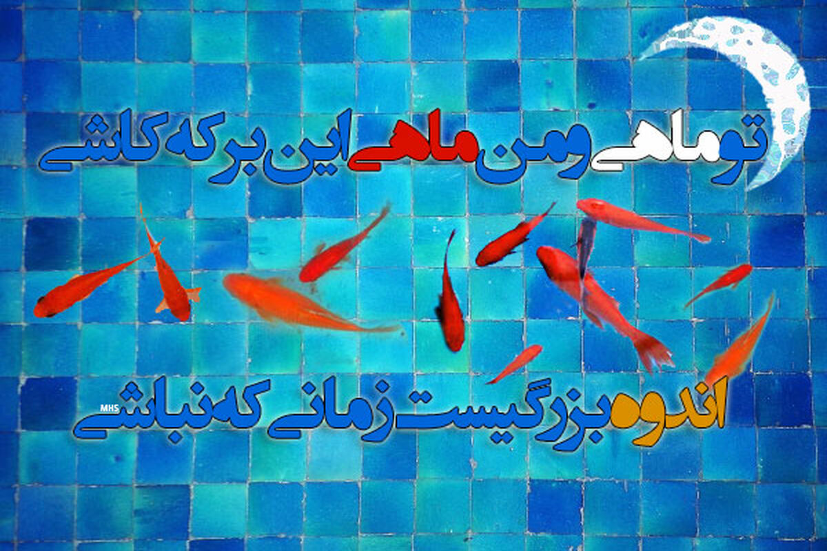 قطعه ماه و ماهی حجت اشرف زاده