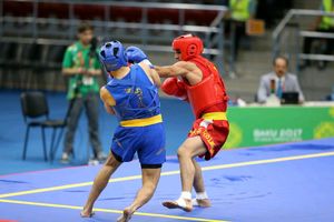 هرمزگان قهرمان مسابقات ووشوی جوانان کشور شد