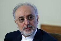 مقرر شد جشن روز ملی هسته ای در فرصت و فضایی مناسب برگزار شود