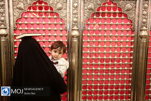 آرامگاه لاکچری در امامزاده صالح(ع) تهران هم هست هم نیست!