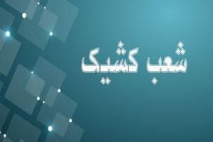 اعلام شعب کشیک بانک توسعه صادرات ایران تا پایان شهریورماه سال جاری