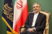 انتصاب جانشین رئیس شورای‌عالی سیاست‌گذاری کنگره شهدای هنرمند