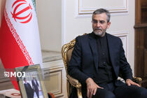 سرپرست وزارت خارجه درگذشت ابوالشهیدین آقای حاج سیدجواد حجازی را تسلیت گفت