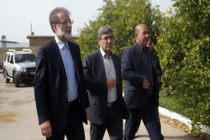 راه‌اندازی 2085 بنگاه اقتصادی جدید در کشور طی دولت یازدهم