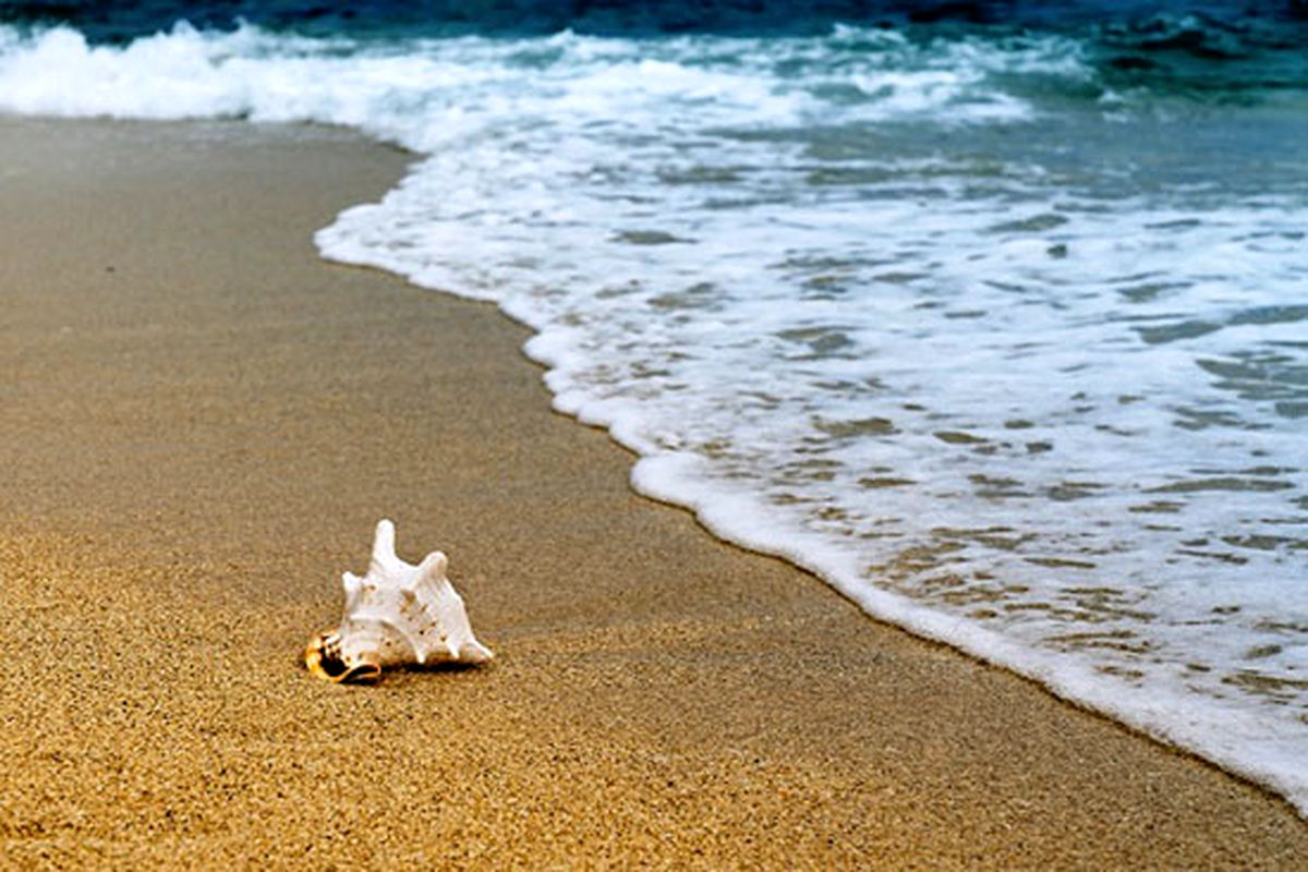 پیاده راه ساحلی