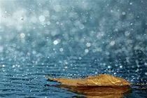 فریدونشهر پر بارش ترین شهرستان در استان اصفهان