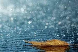 فریدونشهر پر بارش ترین شهرستان در استان اصفهان