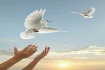 عواید جشنواره تئاتر زندانها صرف آزادی زندانیان جرایم غیرعمد می شود