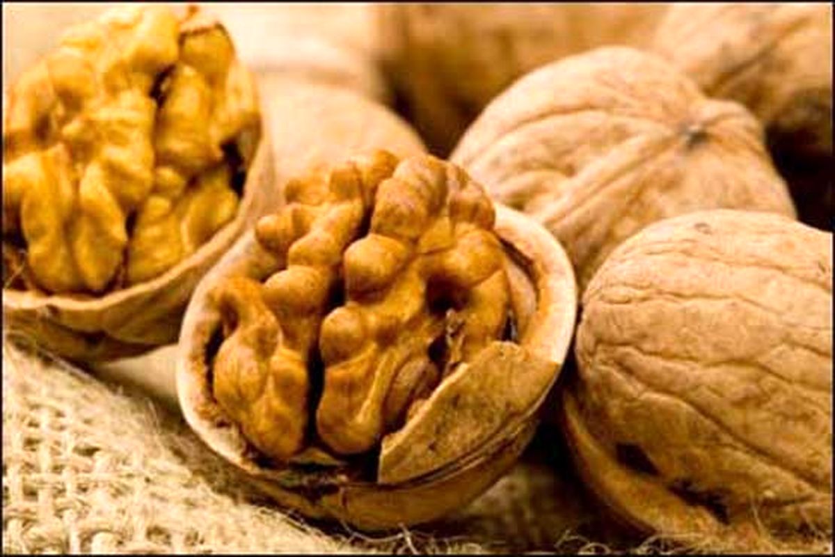 اصفهان- گردوی قاچاق