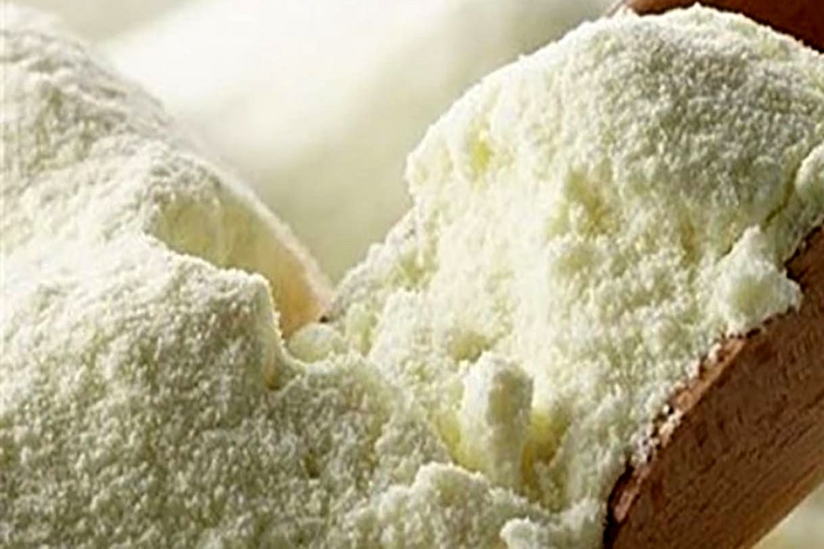 شیر خشک تاریخ گذشته