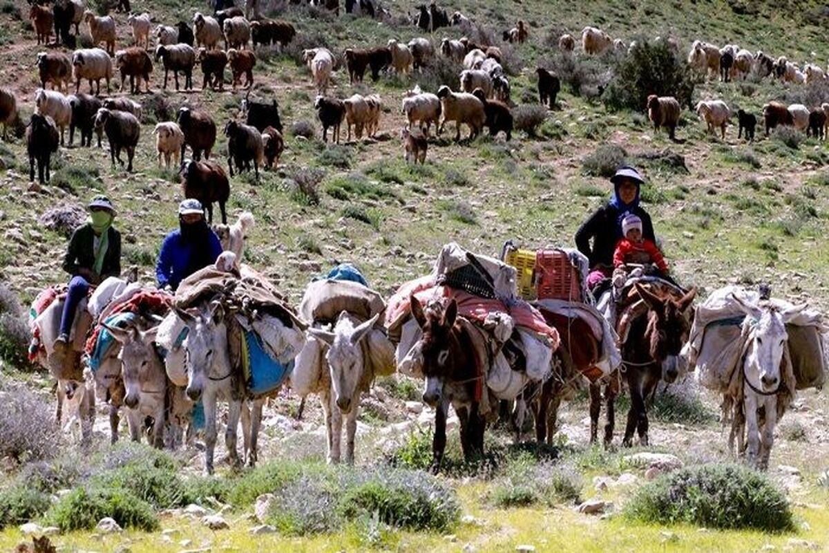 عشایر 