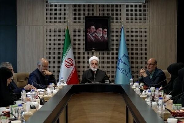 دستگاه قضا در هیچ یک از رسیدگی‌های قضایی، سوگیری سیاسی ندارد