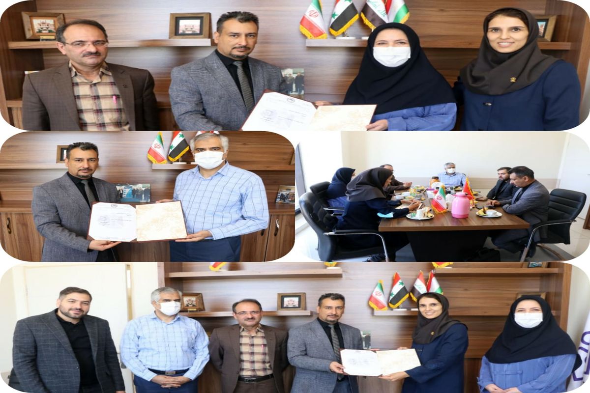 دانشگاه کاشان