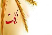 پرداخت 33 میلیارد و 800 میلیون تومان زکات توسط هرمزگانی‌ها