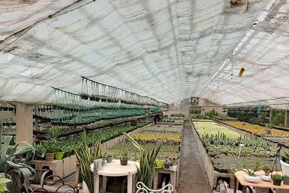 تسهیلات کمیته امداد