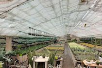 پرداخت تسهیلات قرض الحسنه برای راه اندازی ۱۰ هزار طرح از مشاغل  مددجویان اصفهانی