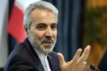تهمت ها به دولت در مورد سند یونسکو شرم آور است/یارانه بیش از 70 هزار نفر به اشتباه قطع شده بود
