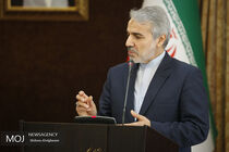 قیمت های اعلامی بنزین و گازوییل در حد گمانه زنی است