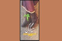 متن تقریظ رهبر انقلاب بر کتاب «تنها گریه کن» رونمایی شد