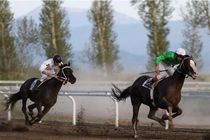 مسابقات اسبدوانی کورس پائیزه کشور در هفته چهارم در شهرستان گنبدکاووس برگزار شد