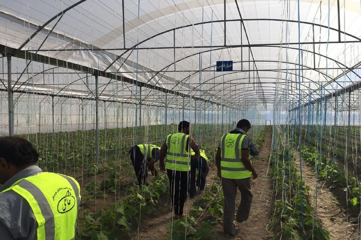 MzNIUieilmWA