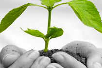 عملکرد دولت در بخش زیست محیطی بررس می‌شود