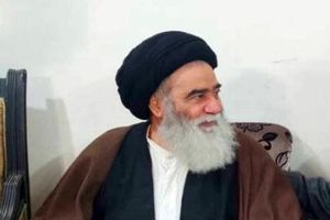 پیکر آیت‌الله سیدهادی سیستانی در کربلا تشییع شد