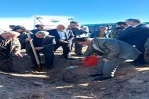 طرح مردمی کاشت یک میلیارد درخت همزمان با سراسر کشور در استان قزوین آغاز شد