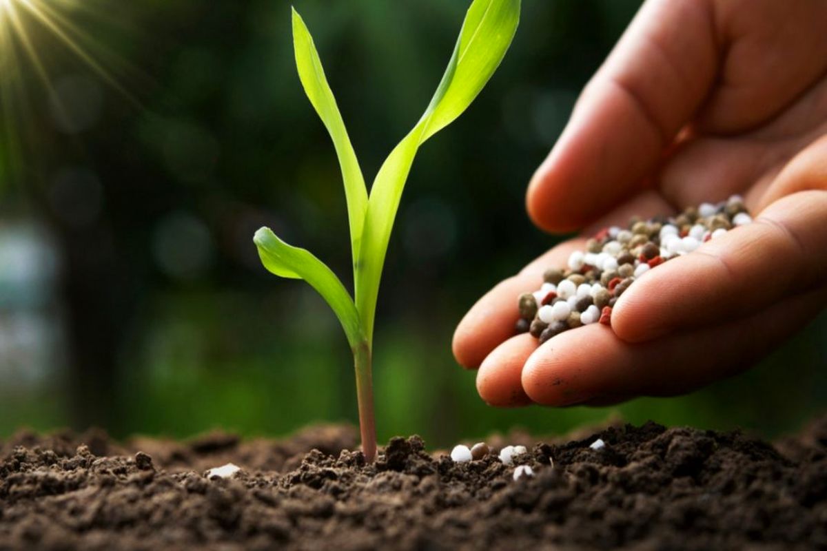 جهاد کشاورزی استان قزوین