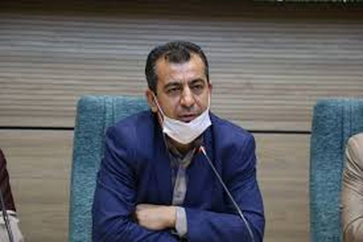 حامد جولایی