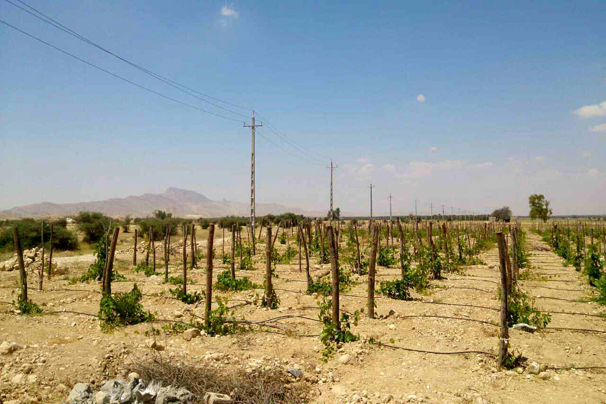 خسارت ناشی از فقدان جریان برق