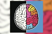 افراد خلاق فقط "راست‌مغز" نیستند