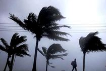 پیش‌بینی افزایش سرعت وزش باد و احتمال گردوخاک در مناطق شرقی و شمالی هرمزگان