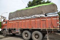 کشف چای خشک فاسد در رودسر