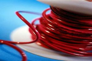 کارمندان کلاهبردار توسط قانون دستگیر شدند