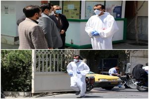 سفیر صلح وارد قم شد