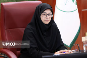 تدوین برنامه مدیریت تغییر اقلیم در دستور کار است