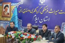 برگزاری وبینار ستاد اجرایی خدمات سفر با حضور مدیرکل پایگاه‌های ملی و جهانی وزارت در ایلام