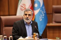 کمالوندی به شورای حکام هشدار داد