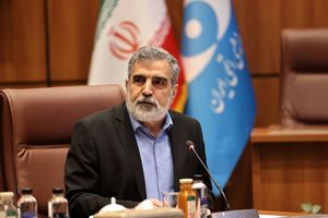 ایران تنها کشوری نیست که غنی‌سازی دارد و سلاح هسته‌ای ندارد